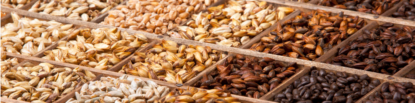 Briess Malt & Ingredients 139