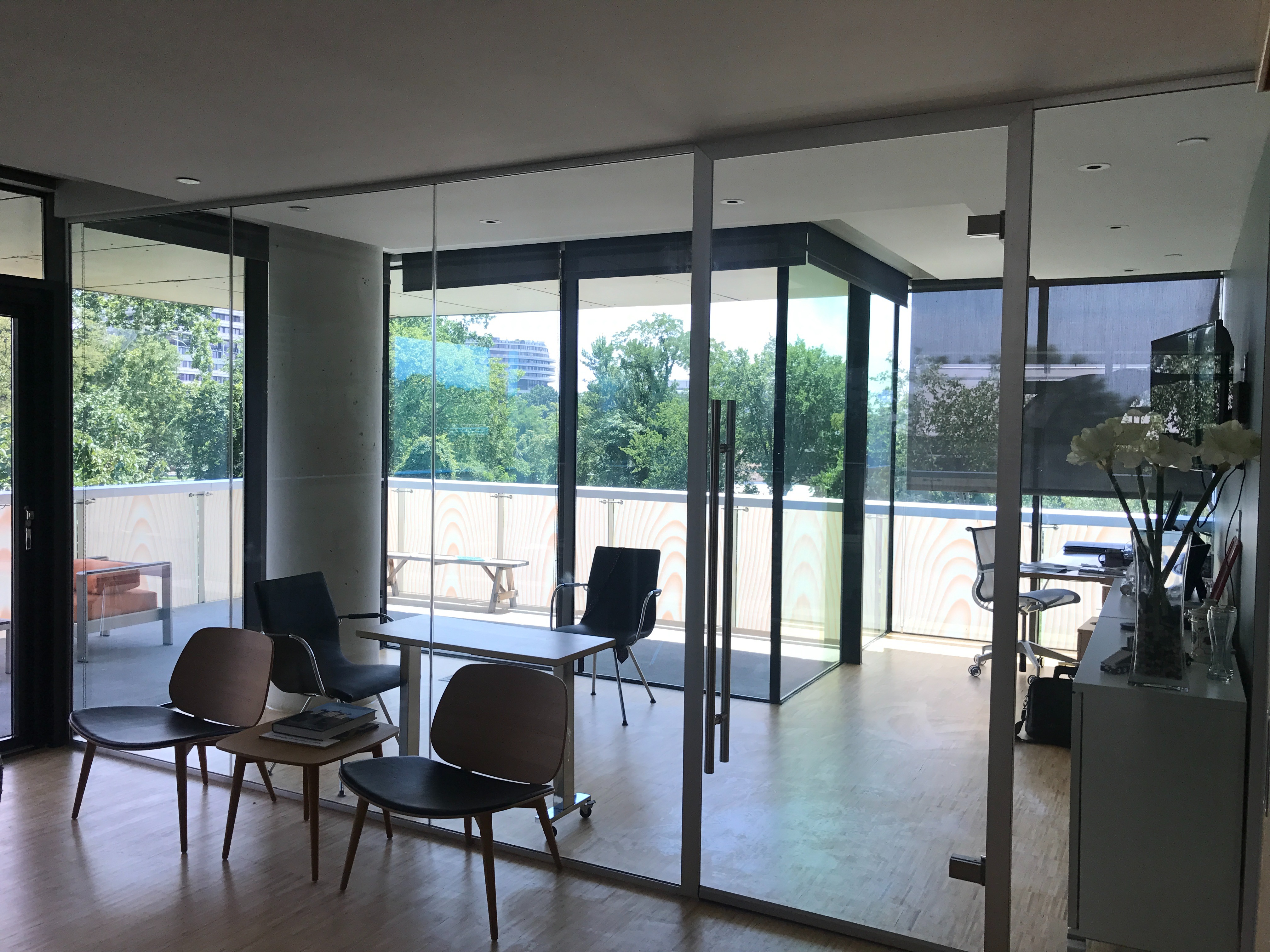 solare™-single-glazed-wall-system-with-acoustic-single-glazed-hinged-framed-swing-door.jpg