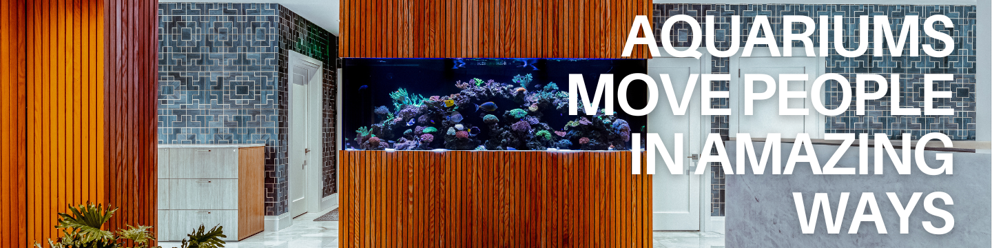 Something Fishy, Inc. 264