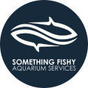 Something Fishy, Inc. 264