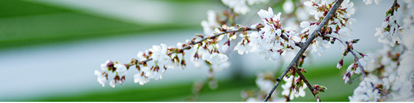 Davey Tree Expert Company, The 148