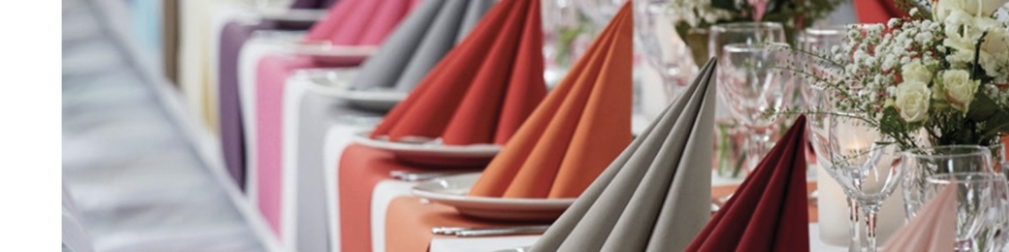 American Homestead, Inc 389