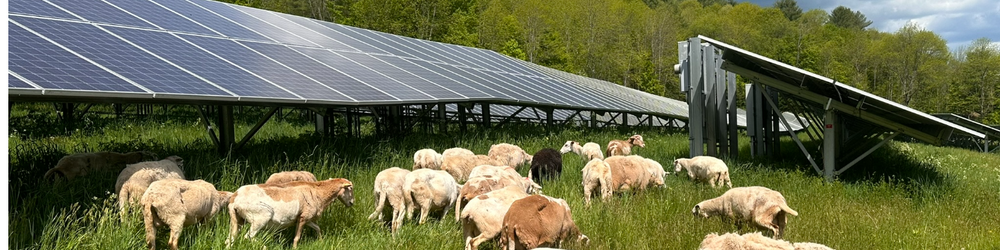 Encore Renewable Energy 43