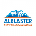 Alblaster Pressure Washing / Soft Washing 418