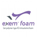 ExEm Foam Inc. 71