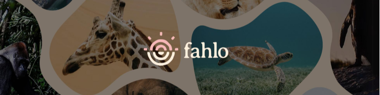 Fahlo LLC 74