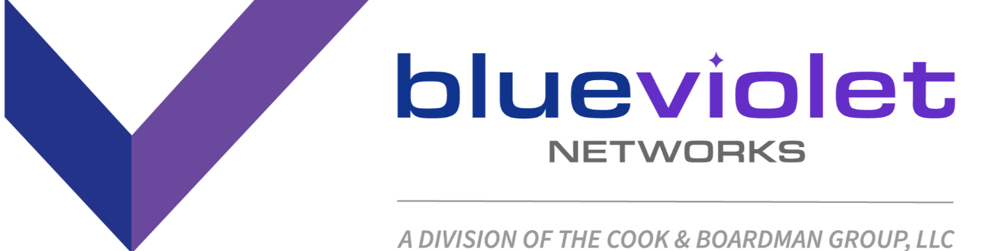 Blue Violet Networks 224
