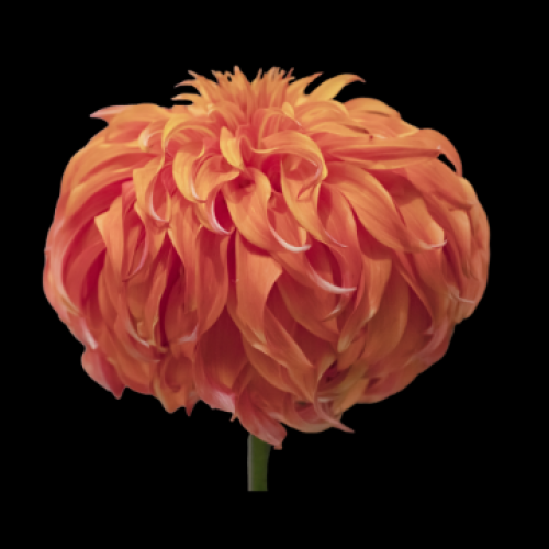 Copper Range Photography 165