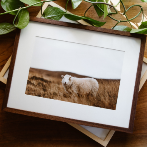 Nicole Daacke Photography 258