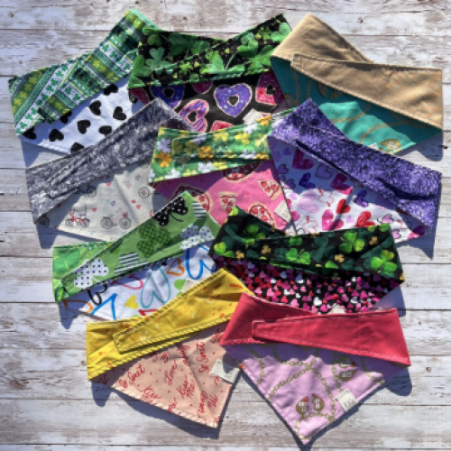 Bearded Ladies & Co. 259