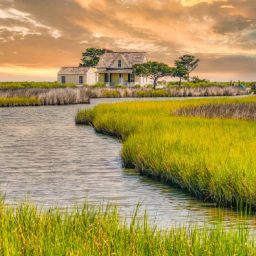 OBX Pixels - Photography by Tim Eckard 299