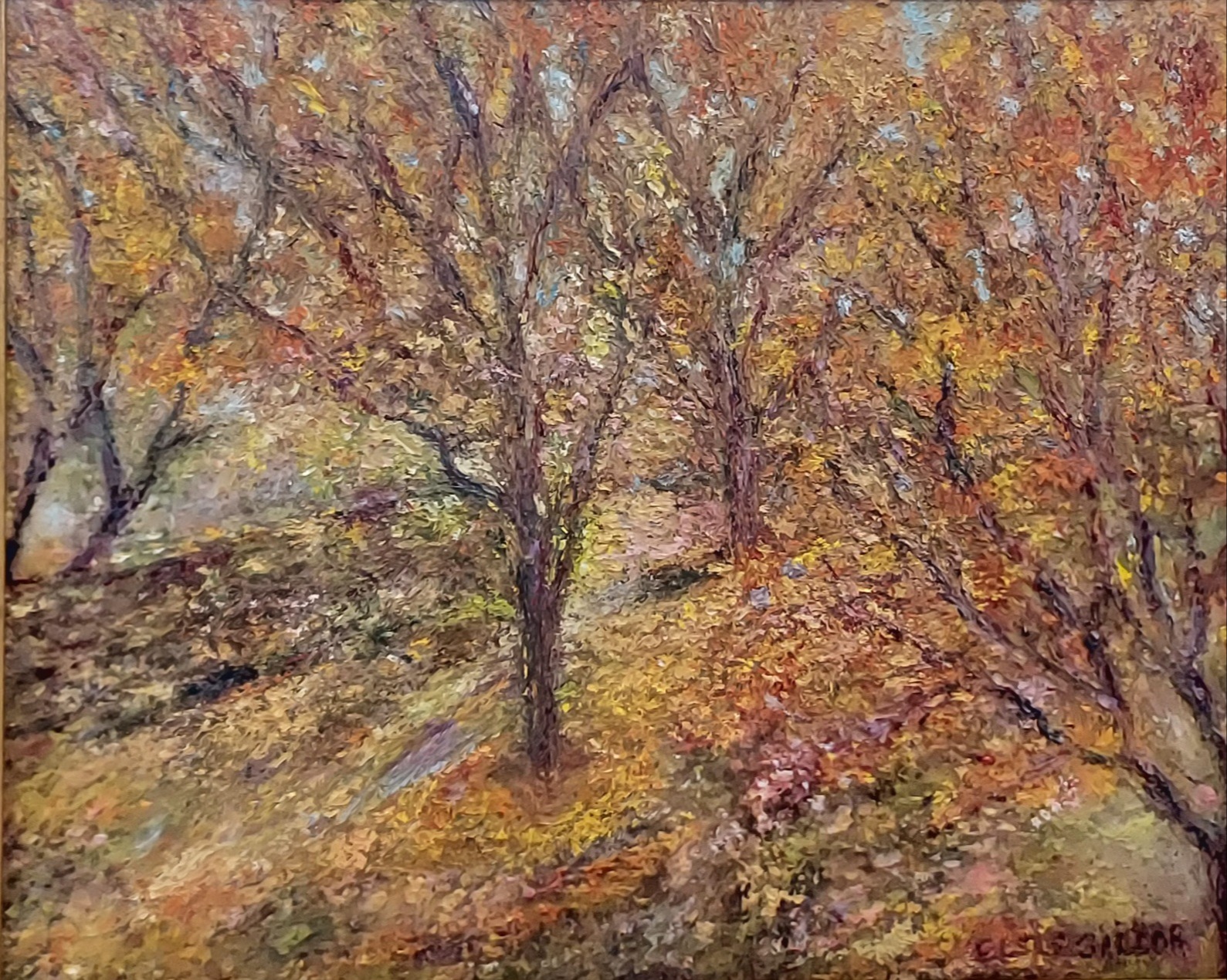 Fall Season  in the Blue Ridge Mountains 398