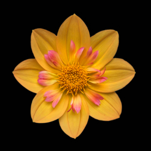 Copper Range Photography 180