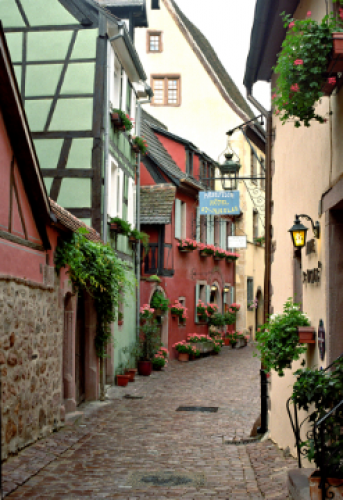 La Shot Photography 24