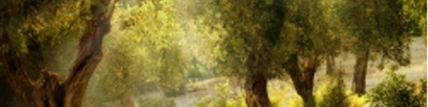 K&S Wood Crafts LLC 189