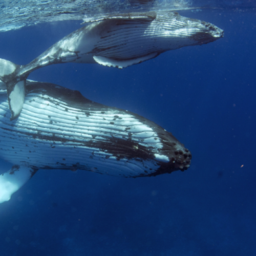 Freund and Friends Photos 125