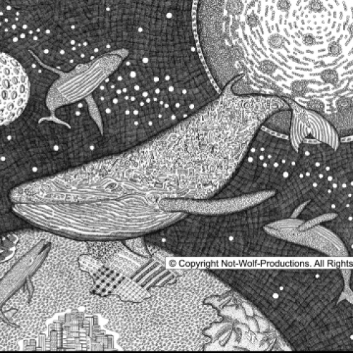 Not-Wolf- Productions 142