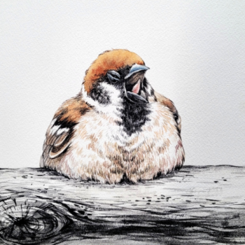 The Naked Cloud Arts Studio 155