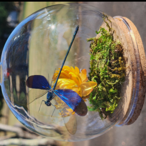 Griffin Mountain Arts 223