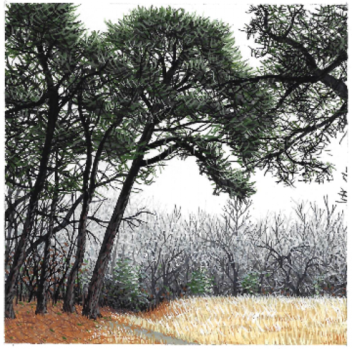 Brendan Kerwin Paintings LLC 288