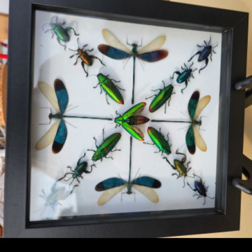 Griffin Mountain Arts 134