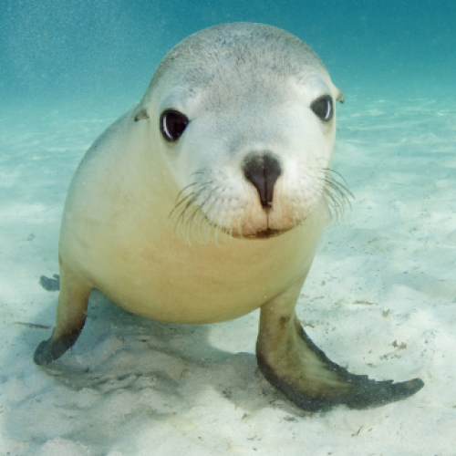 Freund and Friends Photos 196