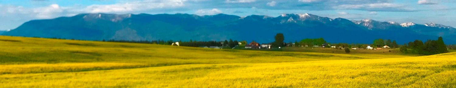 Montana Media Team 2358