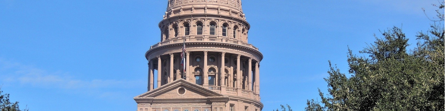 Texas State Action Team 2936