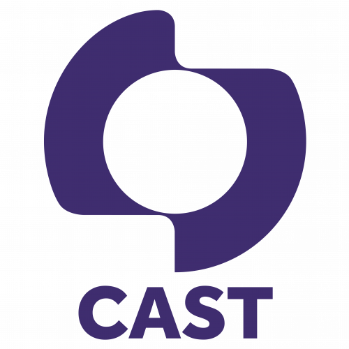 Accessibility at CAST 123