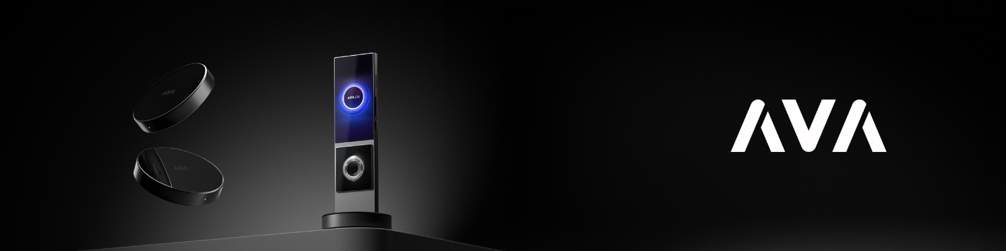 AVA, Inc. 208