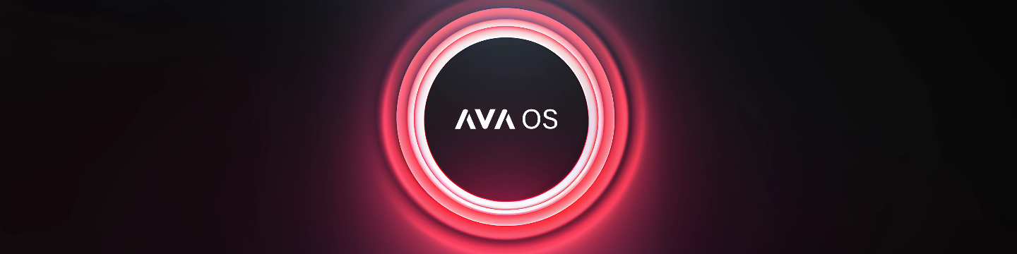 AVA, Inc. 171