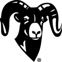 RAM Mounts 268