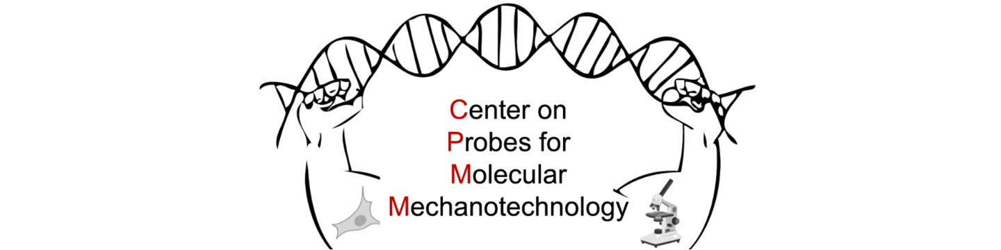 Center on Probes for Molecular Mechanotechnology 145