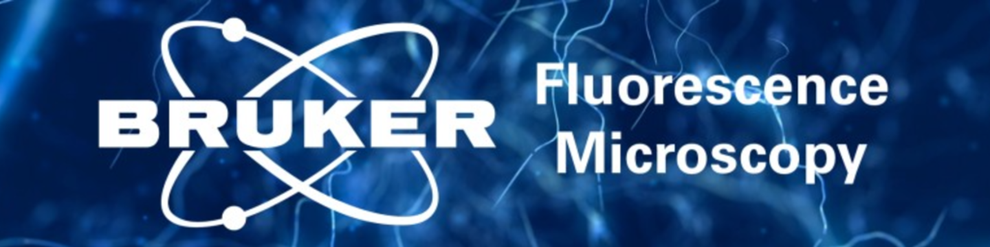 Bruker Corporation 61