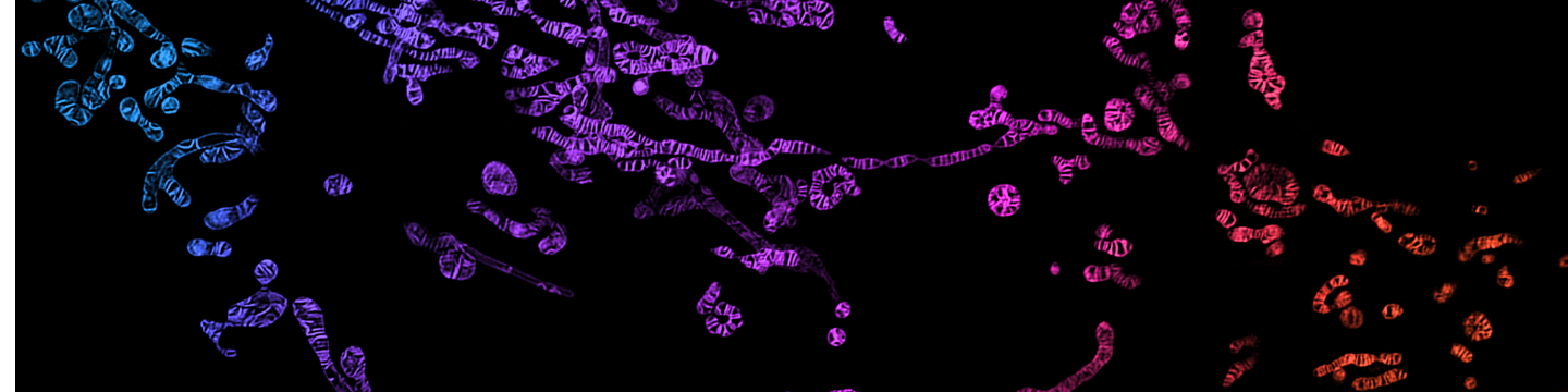 CSR Biotech (Guangzhou) Co.,Ltd 75