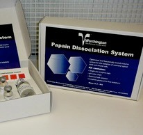 Papain Dissociation System (PDS) 65
