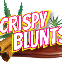 BAKLAVA CRISPY BLUNTS EDIBLES DUBAI COOKIES 214