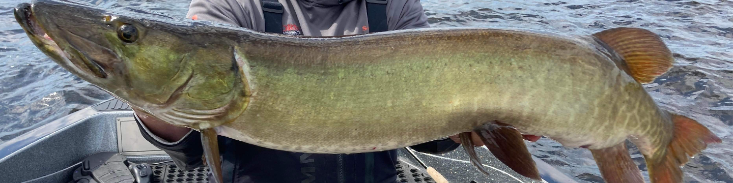 Boulder Junction Chamber of Commerce 20