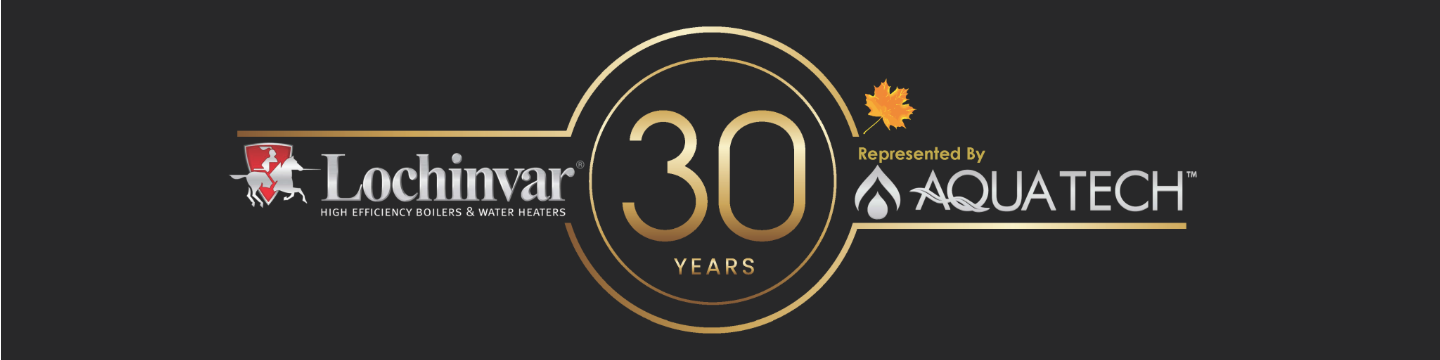 Aqua-Tech Sales and Marketing Inc./ Lochinvar, LLC 31