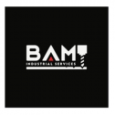 BAM Industrial Services Inc 223
