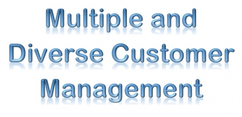 Diverse Customers