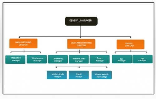 Organizational Structures