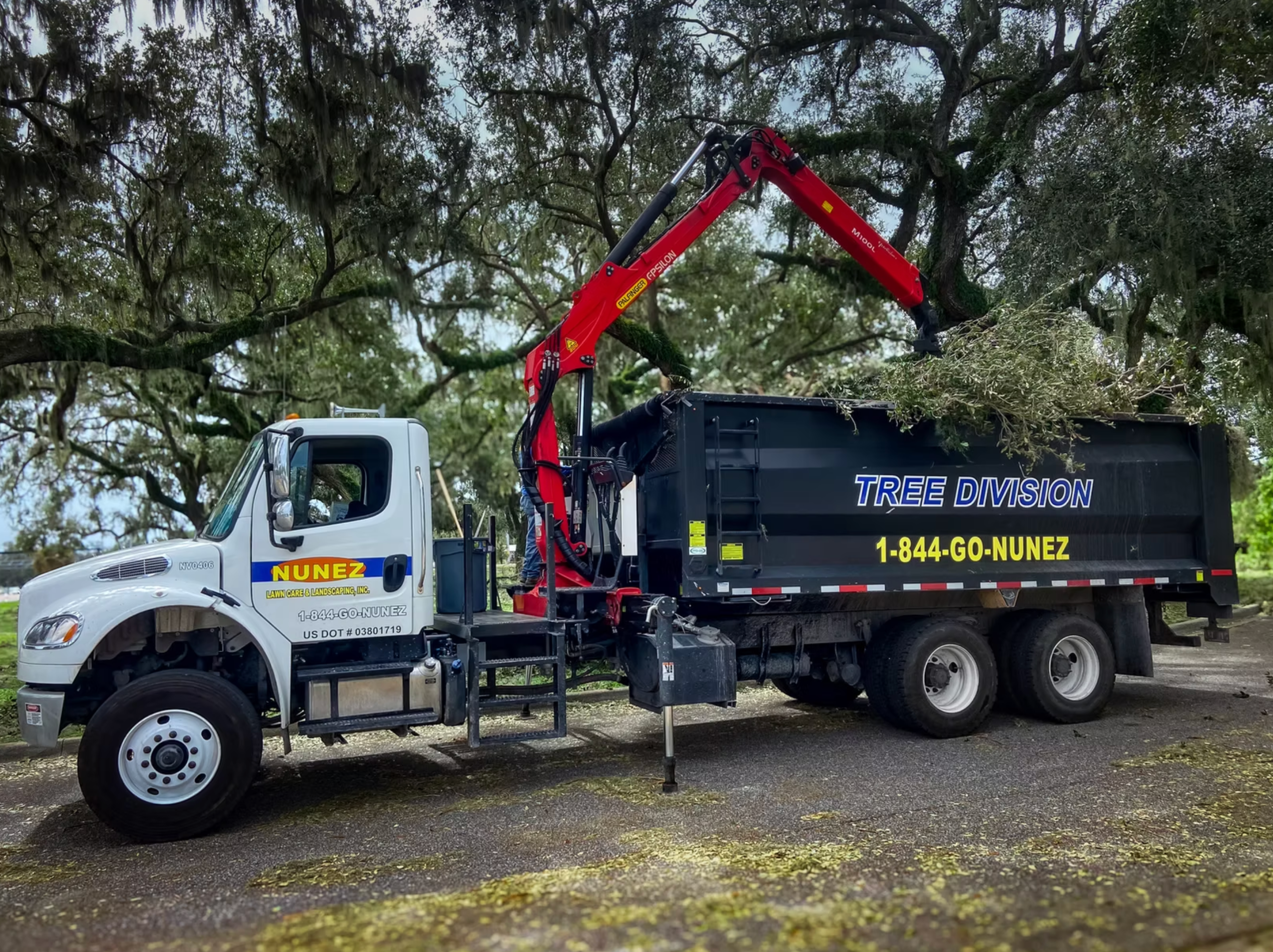 2026 Storm Season 119