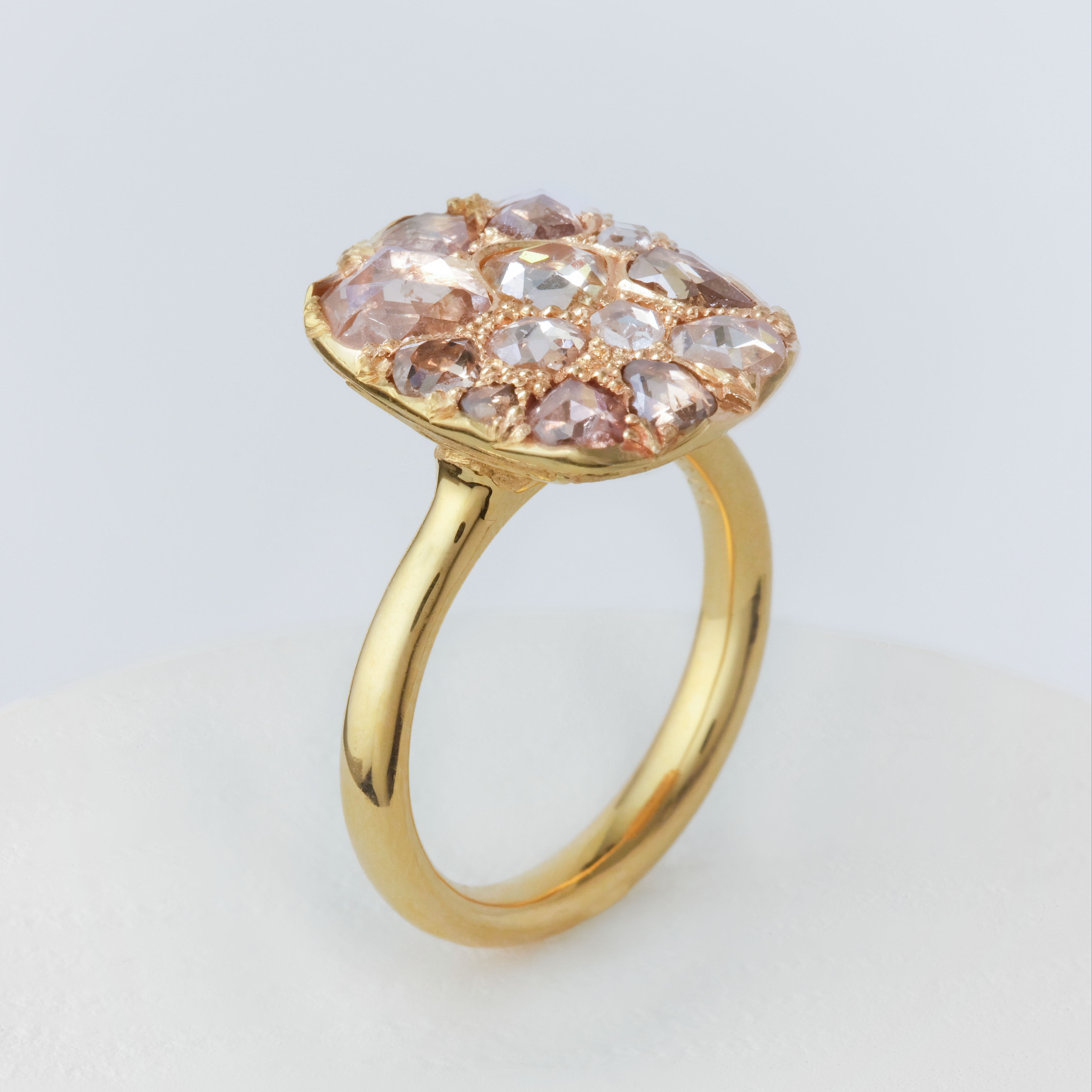 Into the Wild Ring - Scattered antique rose cut diamonds 458