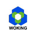 WOKING ENVIRONMENTAL TECHNOLOGY CO.,LTD 302