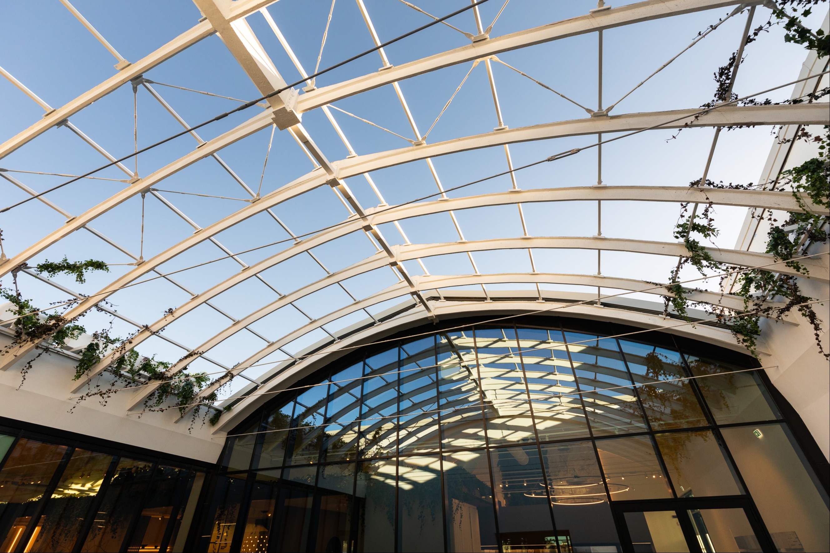 THE NEW SHOWROOM 1375