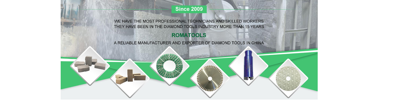 Quanzhou Shuncheng Diamond Tool Co., Ltd 315