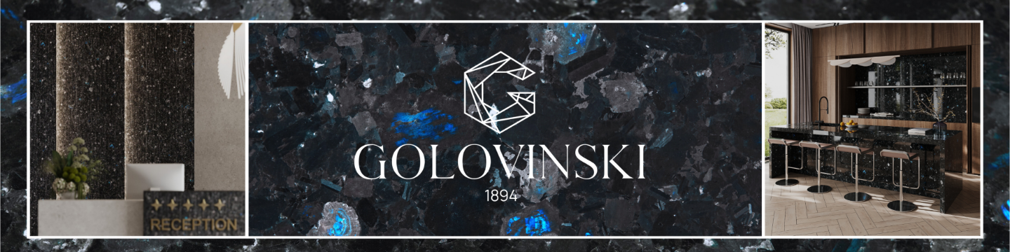 GOLOVINSKI LLC 216
