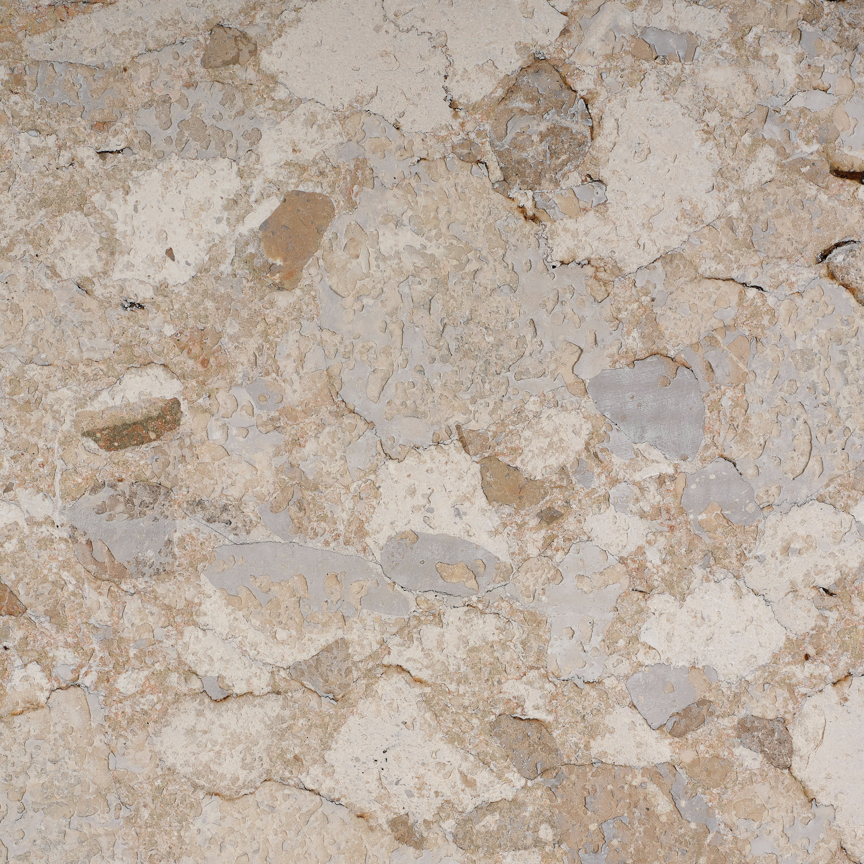 breccia_veneziana_sabb_spaz_-2.jpg