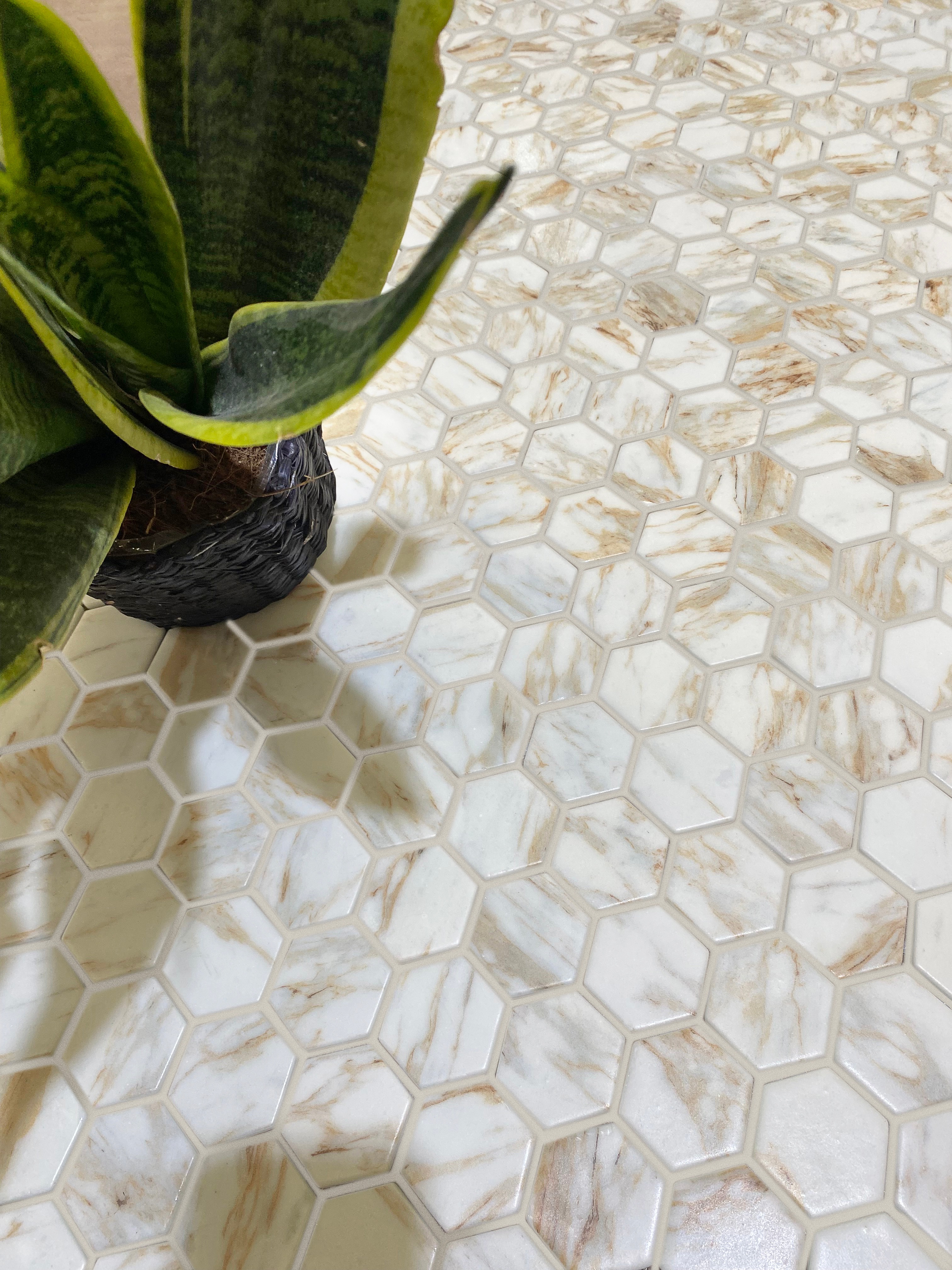 PETRA COLLECTION 734